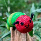 Caterpillar Toy